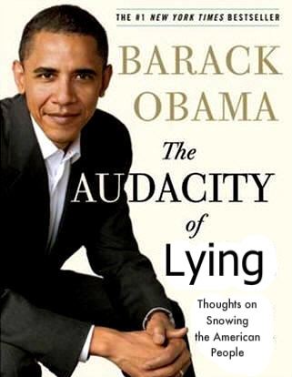 Obama-Lying-Book_