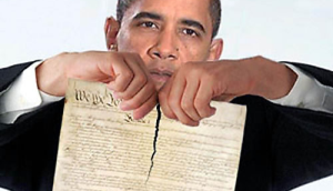 obama constitution