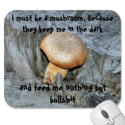 mushroom bullshit