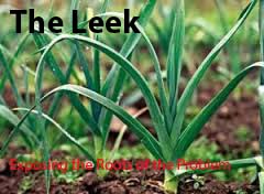 the leek 1